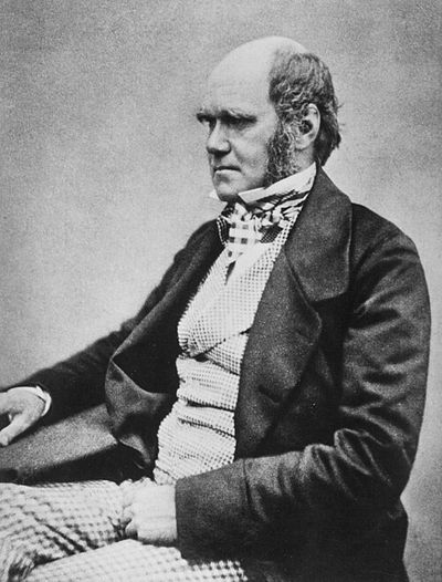 Photograph portrait of Charles Darwin